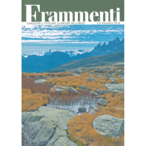 frammenti-small