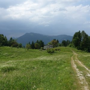 Col del Gallo