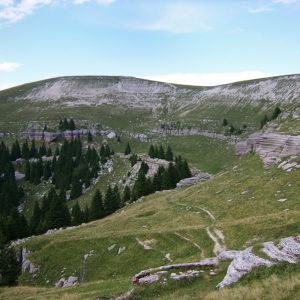 Monte-Fior-Melette