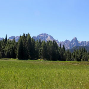 1 TORBIERA di DANTA