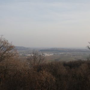 Sulder