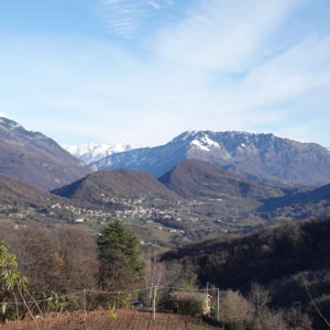 Tarzo