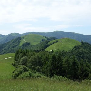 Prealpi Bellunesi