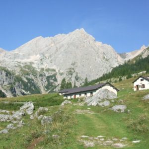 Falier