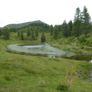 Lago Colo