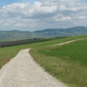 Via Francigena